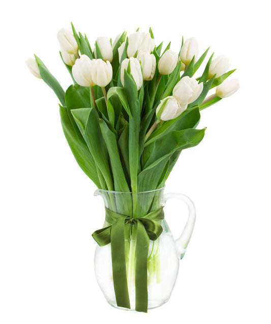 Witte tulpen